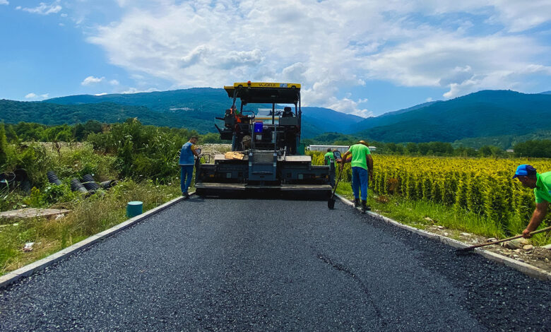 Sakarya fidanlığında çalışmalar sürüyor