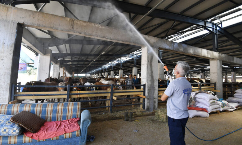 Bursa Osmangazi’de hayvan satış yerlerinde karasinek ilaçlaması
