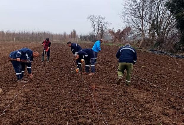 10 bin çınar fidan toprak ile buluştu