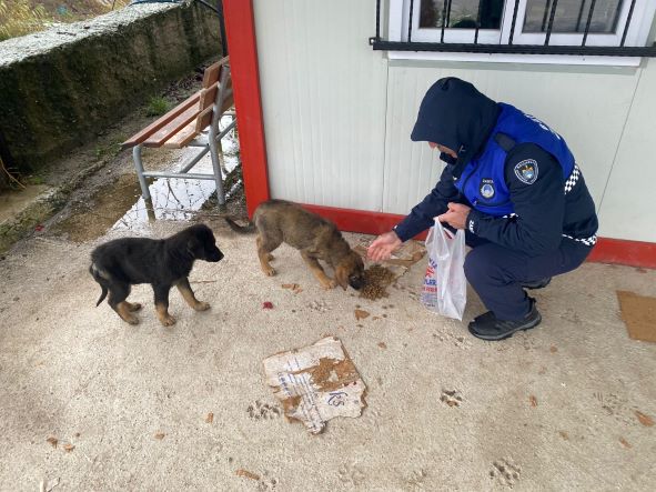 Zabıta patili dostlarımızı da unutmadı