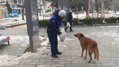 Büyükşehir Zabıtası