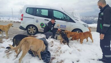 CAN DOSTLARINA MAMA DESTEĞİ