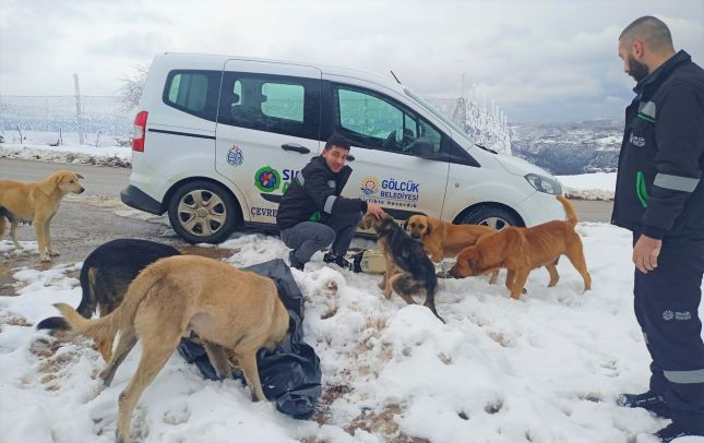 CAN DOSTLARINA MAMA DESTEĞİ