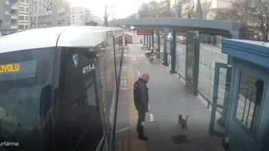 Güvenlik personelinin dikkati kediyi kurtardı