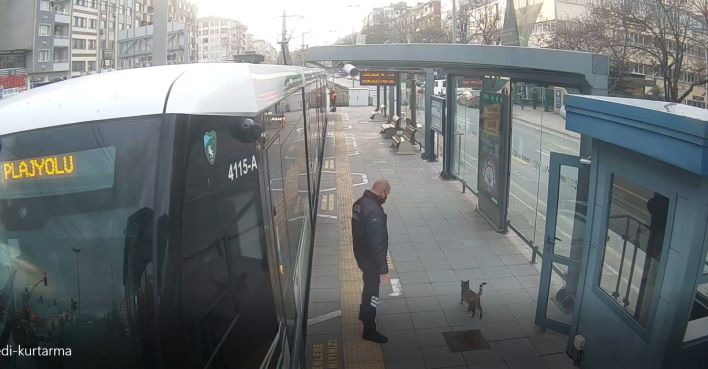 Güvenlik personelinin dikkati kediyi kurtardı