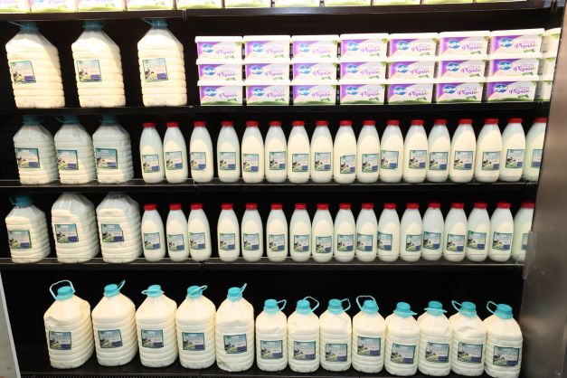 3 litrelik süt 30 liraya satılacak