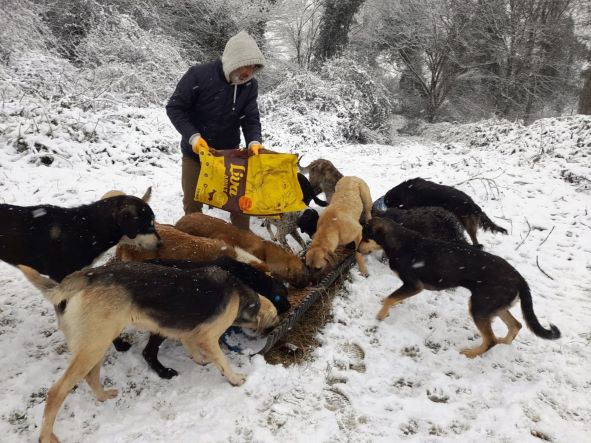 Minik can dostları emin ellerde