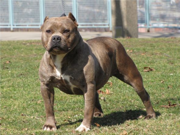 Kartepe Zabıtasından Önemli Bilgilendirme