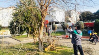 Körfez’de parklar bakımdan geçiriliyor