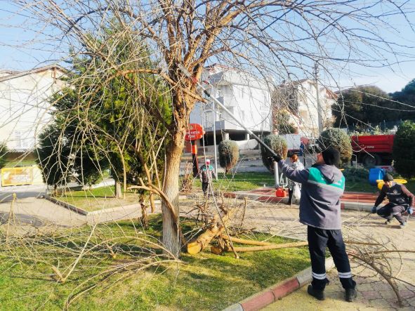 Körfez’de parklar bakımdan geçiriliyor