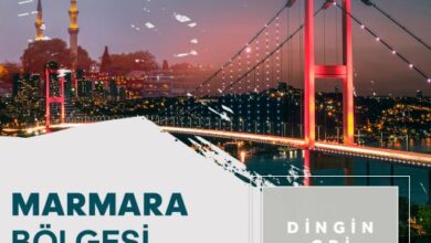 Polisan Kansaı Boya