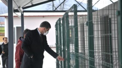 Sokak Hayvanları Bakım ve Rehabilitasyon Merkezinde Sona Gelindi