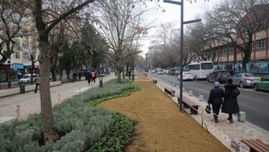 Yeni Yürüyüş Yolu yazın lavanta kokacak