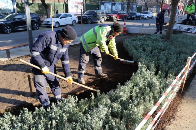 Yeni Yürüyüş Yolu yazın lavanta kokacak
