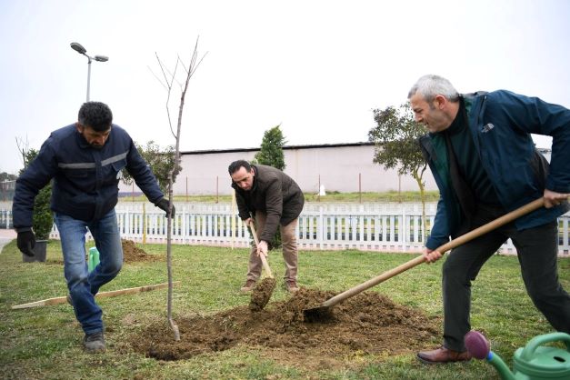Kartepe'de Kiraz ve Vişne Yılı