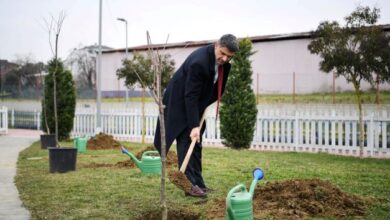 Kartepe'de Kiraz ve Vişne Yılı