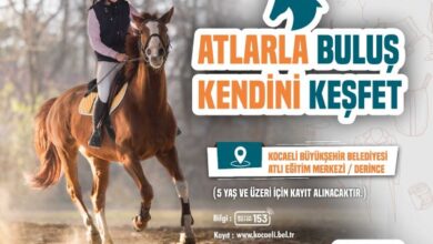 Atlarla Buluş Kendini Keşfet