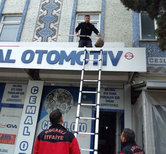 Duvara sıkışan kediyi Büyükşehir İtfaiyesi kurtardı