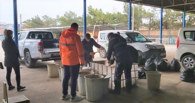 Kartepe'de Katı Atık Karakterizasyonu