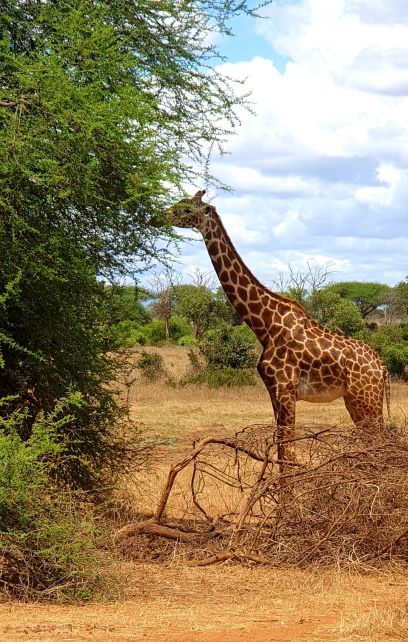 BİZ HER YERDEYİZ..KENYA'da ydık...,Şimdi İsbak'tayız