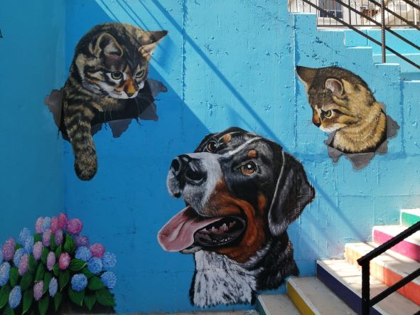 İzmit’in sokaklarında sanat var