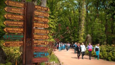 50 ülkenin en iyisi