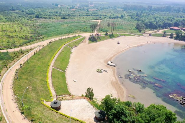 Miço Koyu