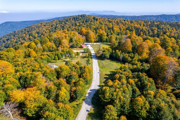Yeşile ve maviye dost şehir Kocaeli