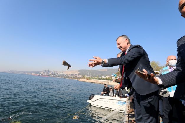 Yeşile ve maviye dost şehir Kocaeli