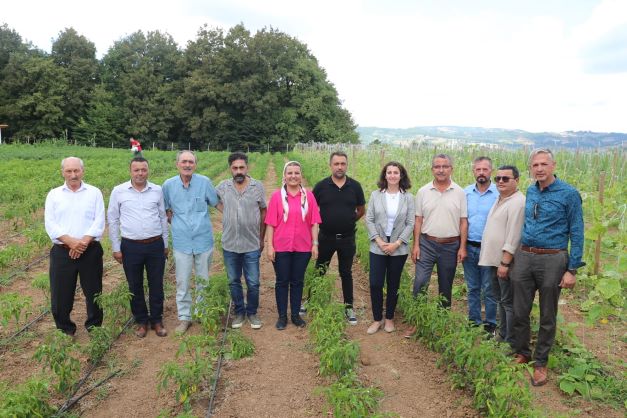 İzmit’in hasadı, İzmit halkına ulaşacak