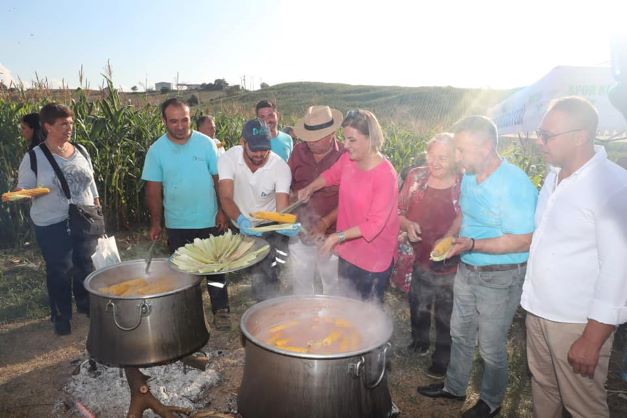 İzmit’te mısır hasadı şenlik havasında başladı