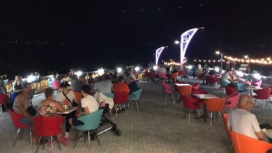 Lavanta Parkı ve Gülümse Kafe Lavanta