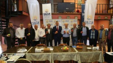 28. Yeşil İhsaniye Elma Festivali Başlıyor