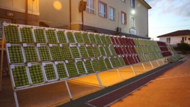 28.Yeşil İhsaniye Elma Festivali Ödül Töreni ve Konserle Tamamlandı