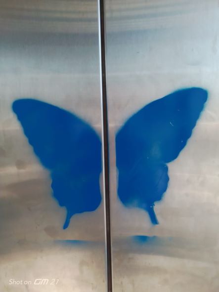 Asansör kabinlerine zarar verdiler