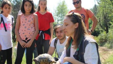Ballıkayalar’da biyoçeşitlilik kayıt altına alındı
