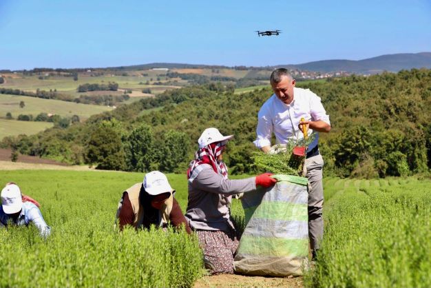 Başkan Büyükakın biberiye hasadı yaptı