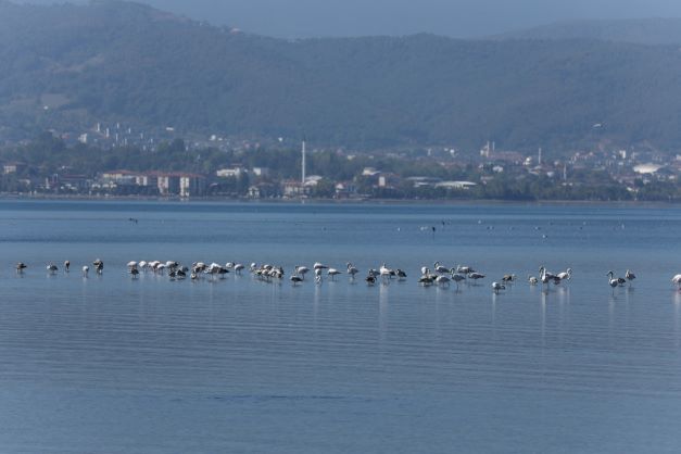 Bu güzelliği görmelisiniz
