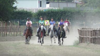 Gölcük Belediyesi rahvan atı, Bursa Zafer Koşusunda İkinci Oldu