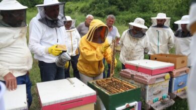 KO-MEK’te yeni eğitim dönemi 19 Eylül’de başlıyor