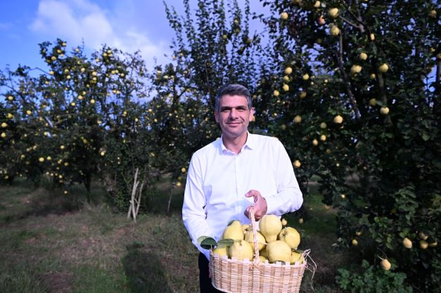 Başkanı Kocaman, Ayva Hasadına Katıldı