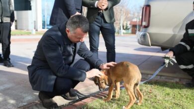 ’’Hayvanları sadece yasalarla değil vicdanlarımızla koruyabiliriz’’