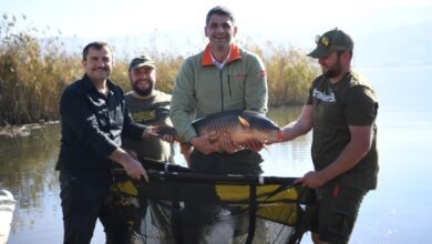 Kartepe'de Sazan Yarışması Başlıyor