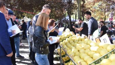 Kartepe'de Türkiye'nin En Güzel Ayvaları Yarıştı