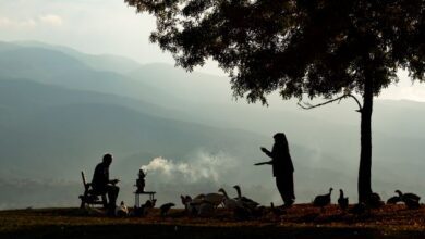 Birincilik Ödülü Gazi -Aydın