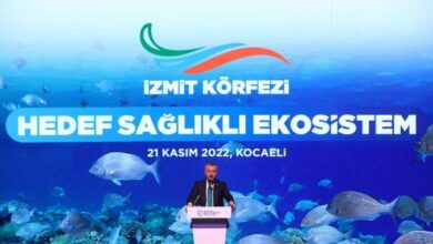 İzmit Körfezi’nde hedef sağlıklı ekosistem