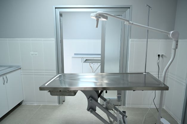 Kartepe'nin Sokak Hayvanlarına Mutlu Son