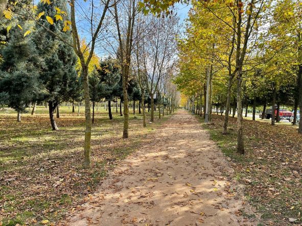 Kartepe'ye 15 Dönüm Yeni Yaşam Merkezi