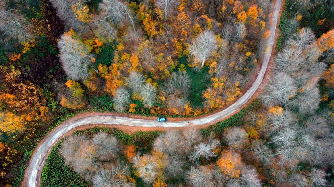 Üçüncülük Ödülü Ahmet Turan -Kural
