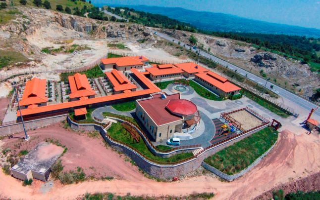 2022’de 4 bin 700 sokak hayvanı sıcak yuvaya kavuştu